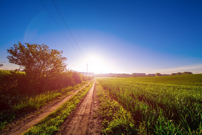 Sunrise over a dirt road through fields