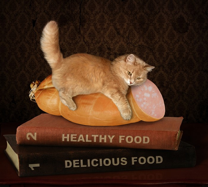 Cat on Sausage atop Books