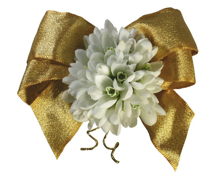 Gold bow with snowdrops