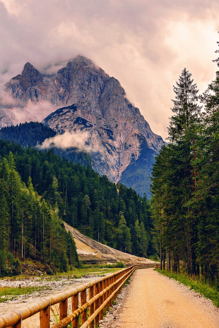 Mountain road with fence and forest in the Alps