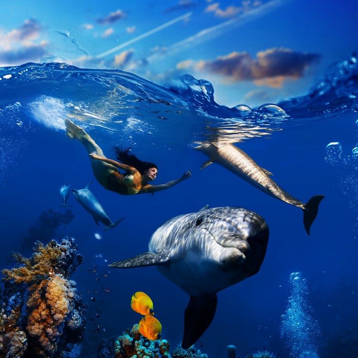 Mermaid swimming with dolphins in the ocean