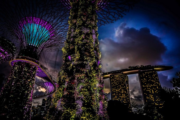 Gardens by the Bay at Night, Singapore