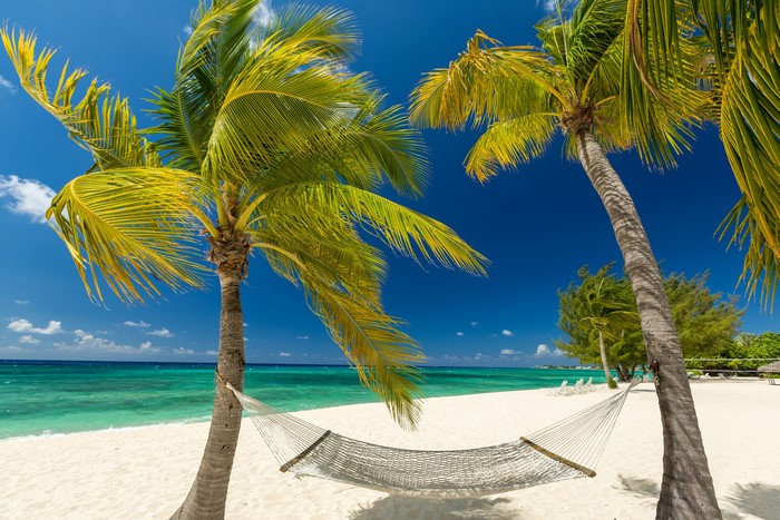 4K Grand Cayman Beach with Palm Trees and Hammock