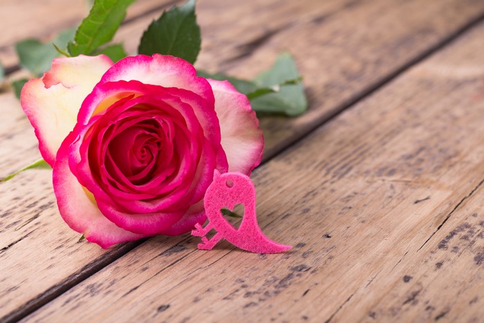 Pink rose with a heart-shaped bird on wood planks