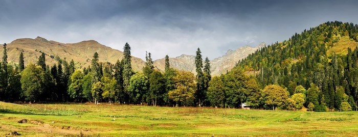 Mountains and forest in Abkhazia Caucasus