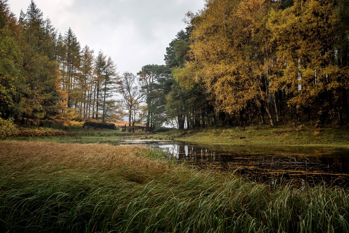 Autumn lake and trees in Glenridding, United Kingdom