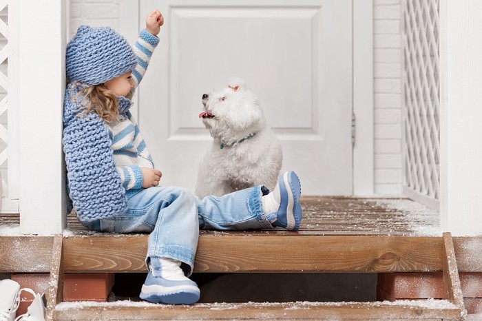 Little girl and Bolognese dog in winter