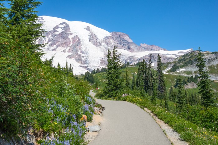 Mount Rainier National Park, Washington