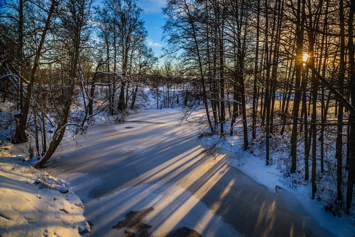 Winter forest with frozen river and sunbeams