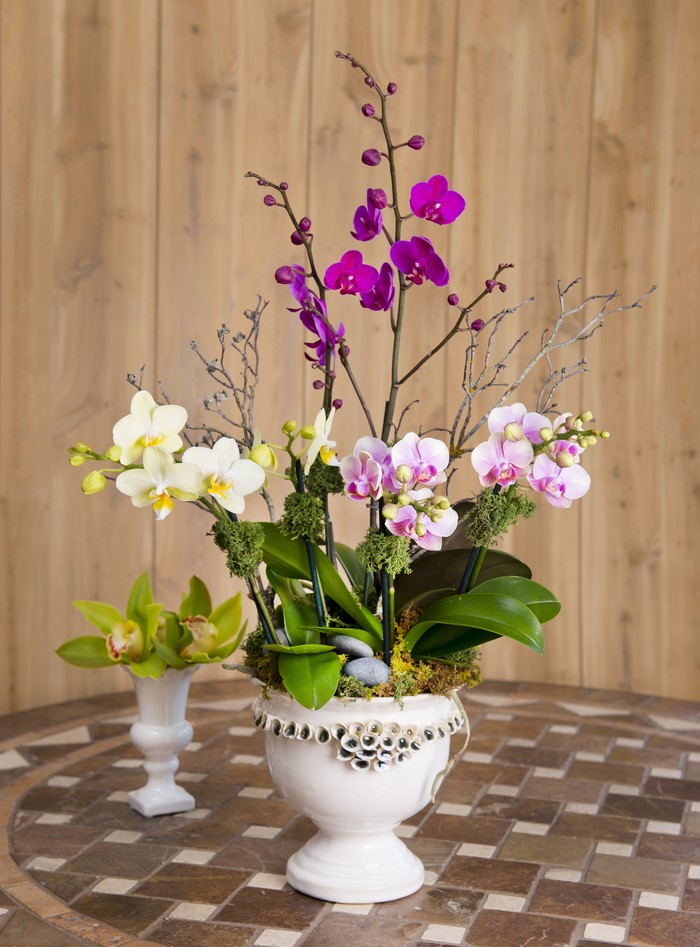 Orchid arrangement in a decorative vase