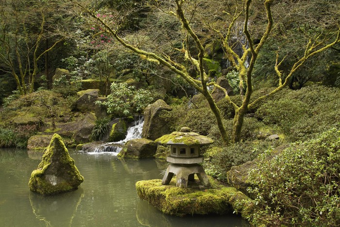 Portland Japanese Gardens Oregon USA Moss Stones Waterfalls