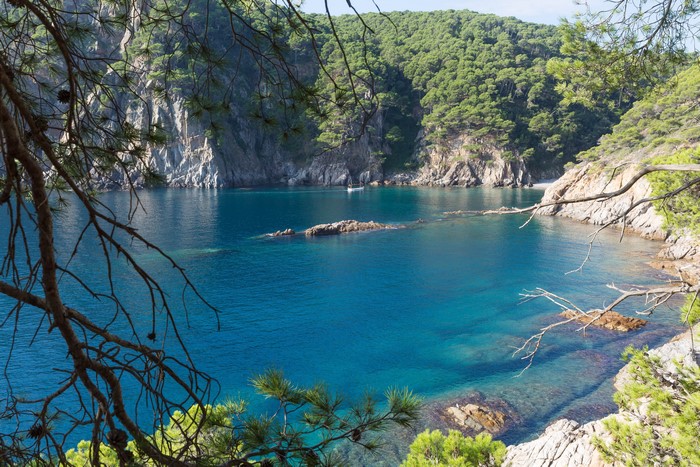Bay with rocky cliffs and pine forest in Selva, Catalonia, Spain