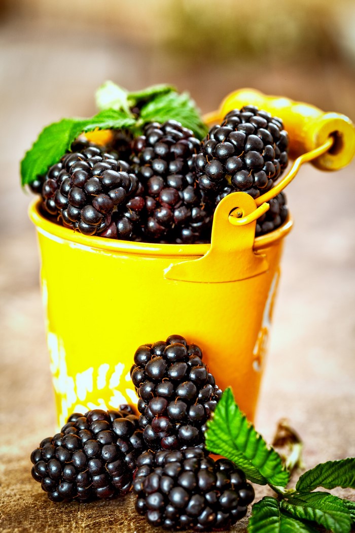 Blackberries in a yellow bucket
