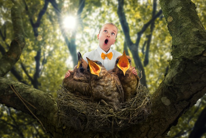 Girl in a bird's nest with baby birds