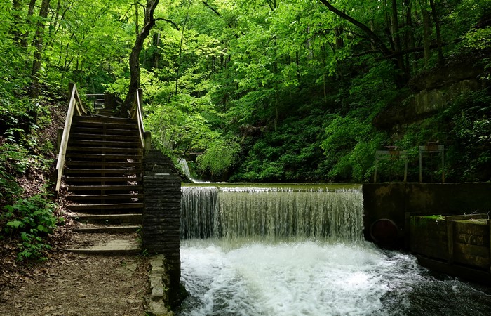 Waterfall and stairs in a forest
