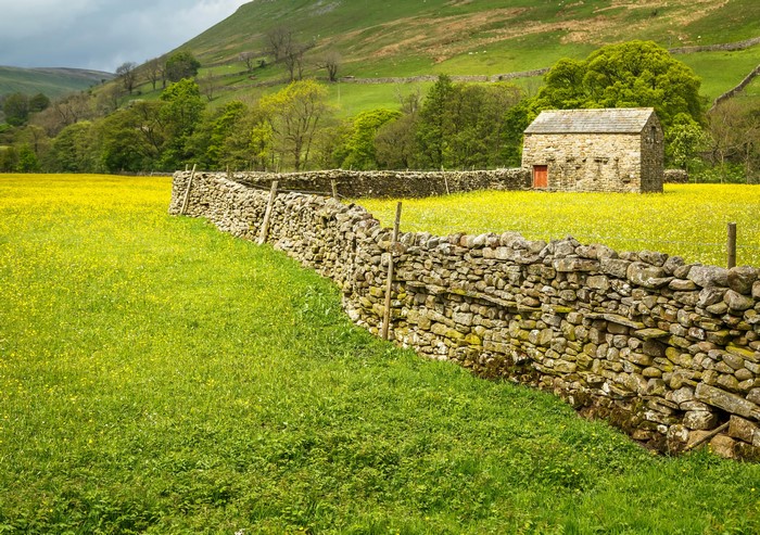 Stone wall and barn in Swaledale, Yorkshire Dales National Park