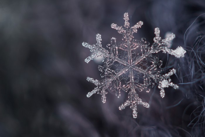 Macro view of a delicate snowflake