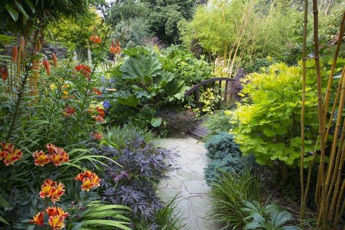 Walsall Garden in England with Alstroemeria flowers