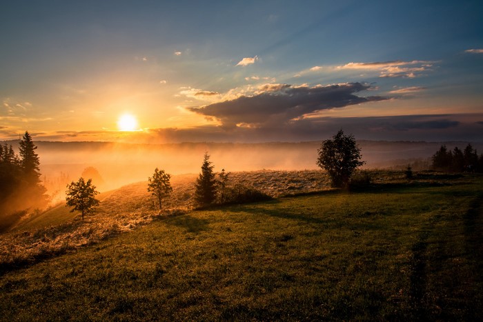 Sunrise over a misty, grassy landscape with trees