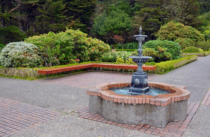 Fountain in a Park Garden with Shrubs