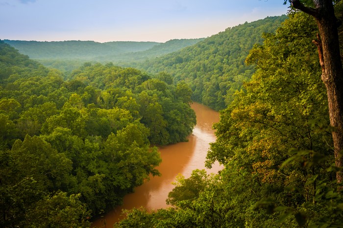 4K Mammoth Cave National Park River and Forests