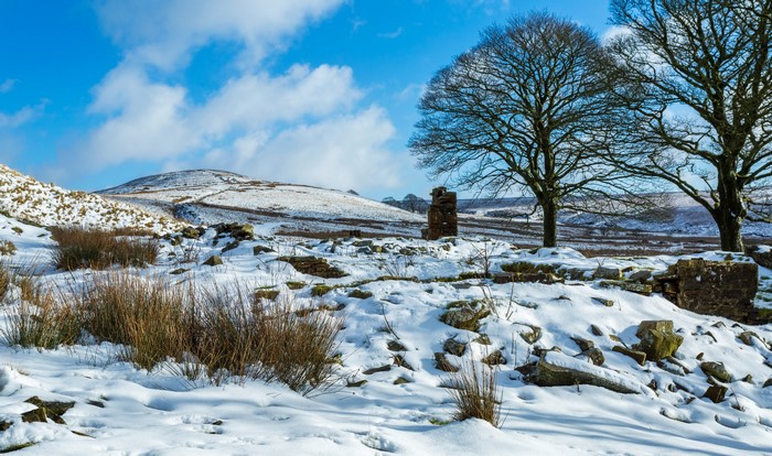 Winter landscape with snow, trees, and ruins