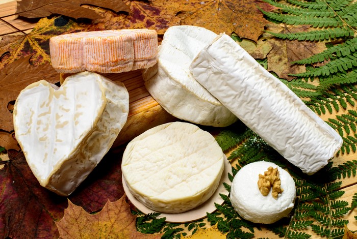 Assortment of Cheeses on Autumn Leaves