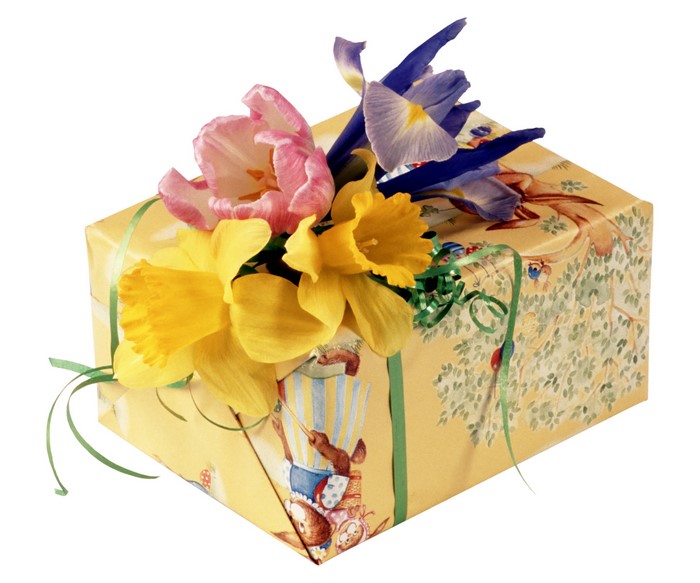 Gift box with daffodils, tulips, and irises