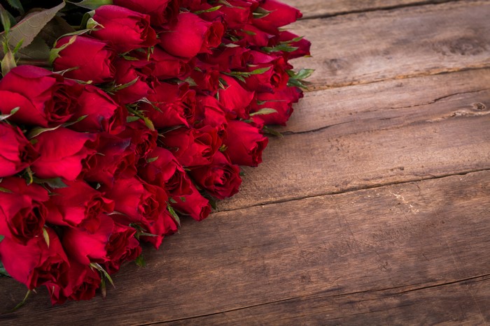 Many red roses on wood planks