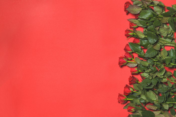 Red Roses on Red Background