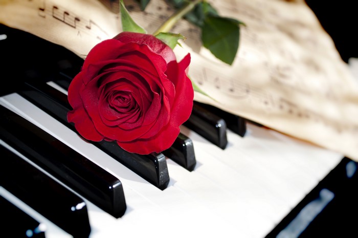 Red Rose on Piano Keys with Sheet Music