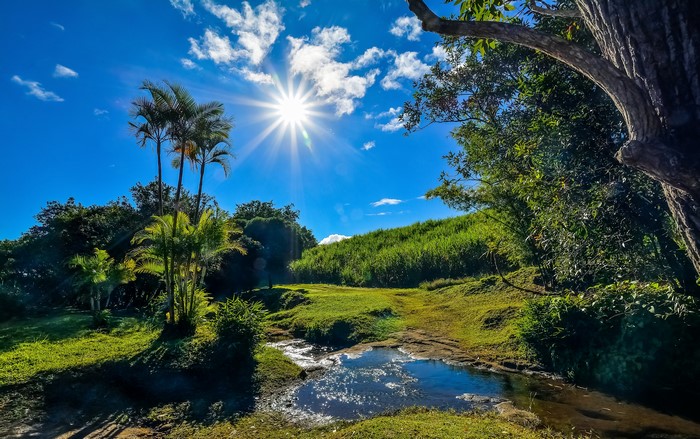 4K Saint-Benoit Reunion: Sun, Sky, Stream, and Nature