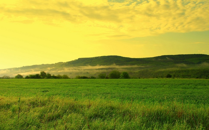 Green field with rolling hills and yellow sky