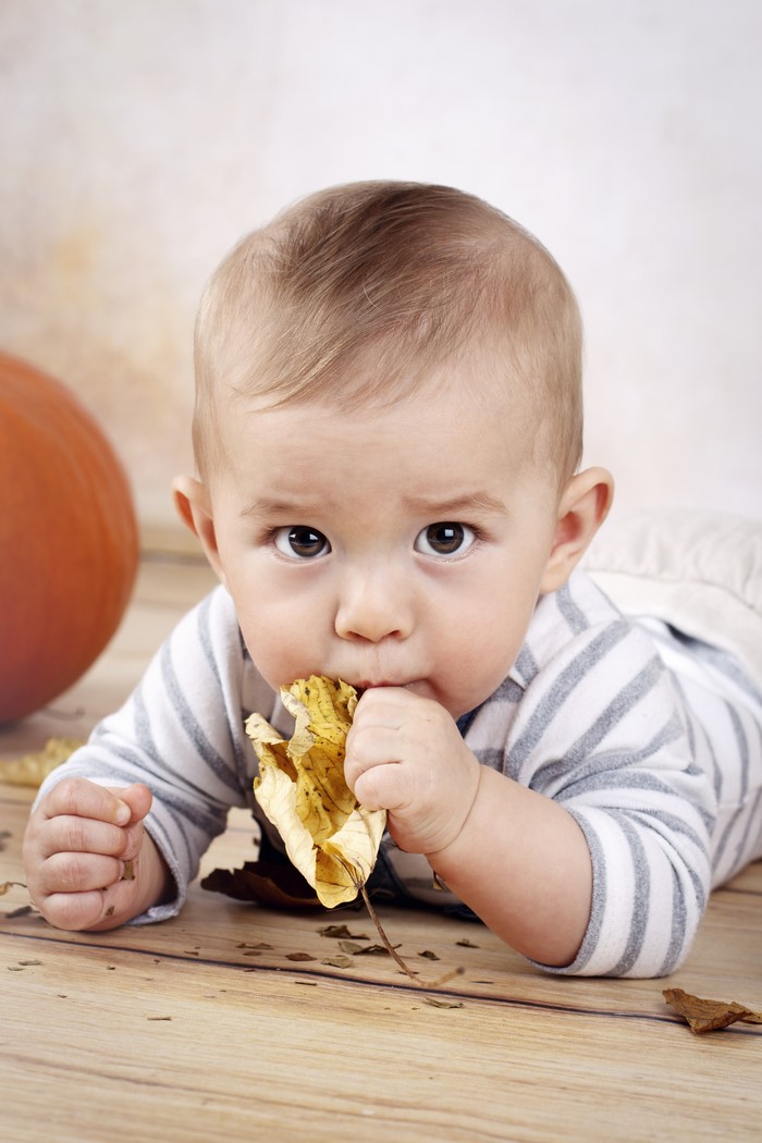 Baby boy eating a leaf