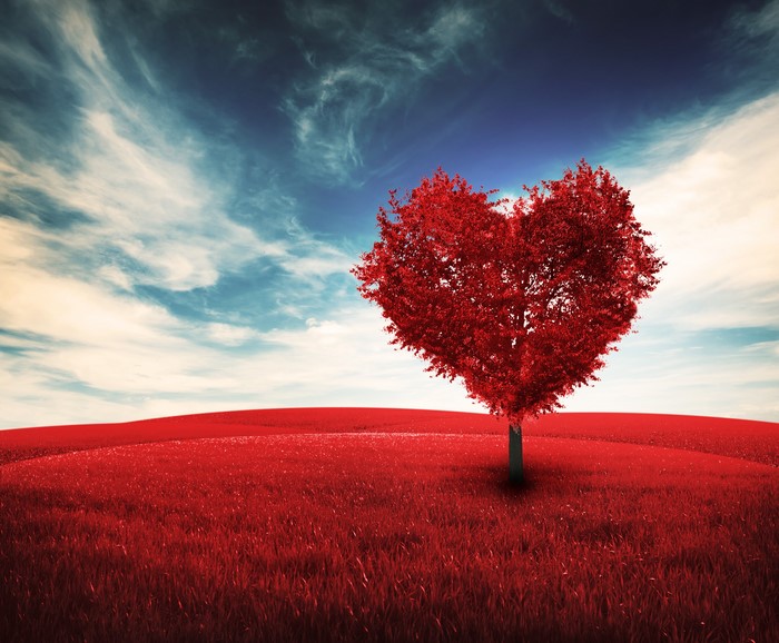 Heart-shaped tree in a red field under a blue sky