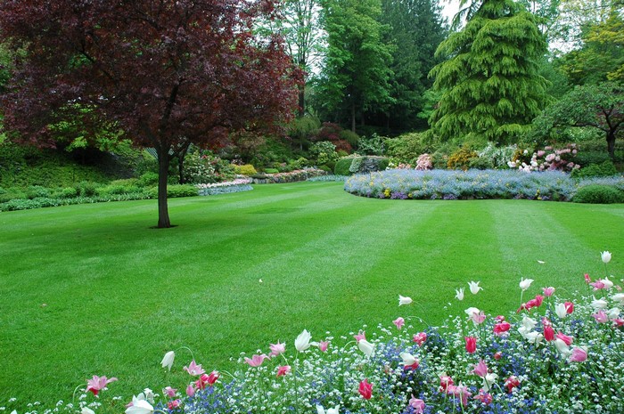 Beautiful manicured garden with colorful flowers and trees