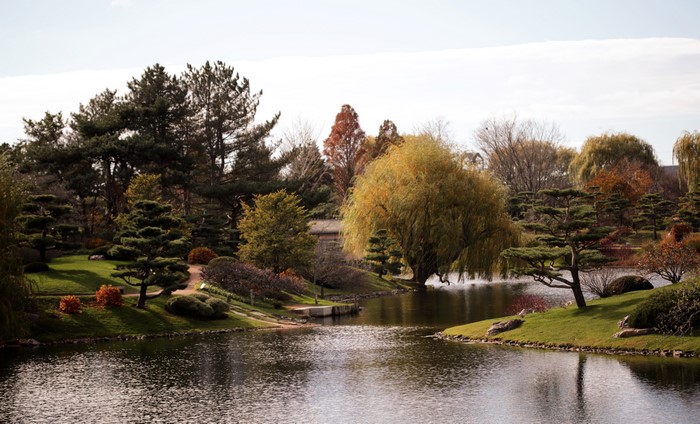 Botanic Garden Pond with Trees in Chicago