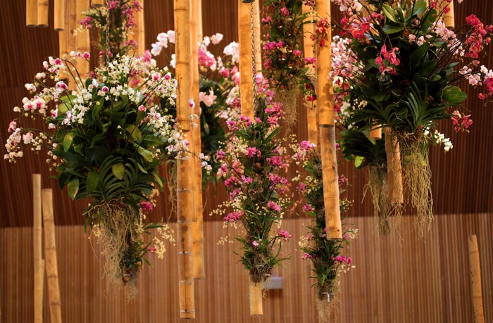 Hanging orchids and bamboo design