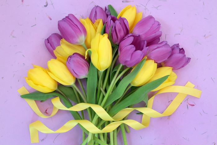 Bouquet of Purple and Yellow Tulips with Yellow Ribbon