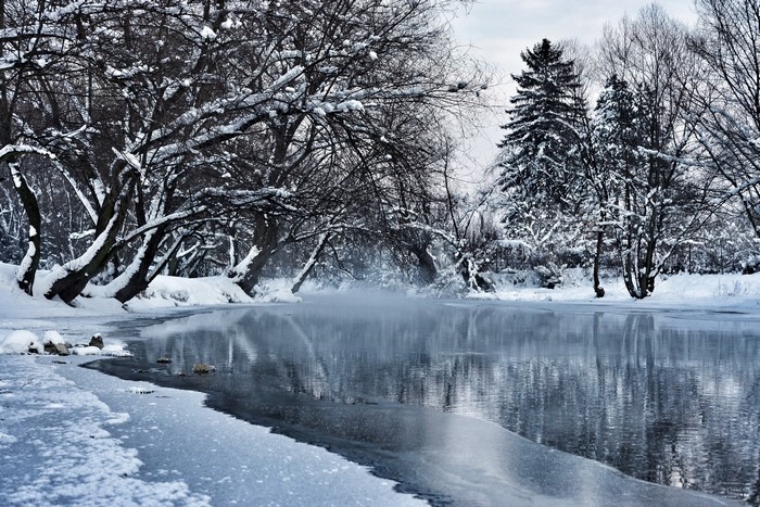 Winter scene with a frozen pond and snow-covered trees in Sarajevo