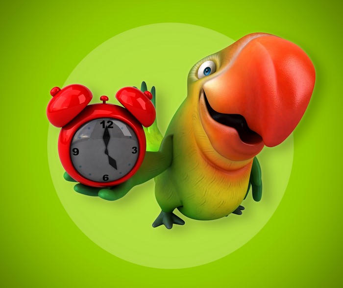 Parrot holding an alarm clock