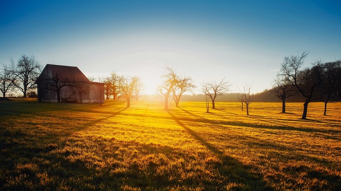 Barn and trees in a field at sunset