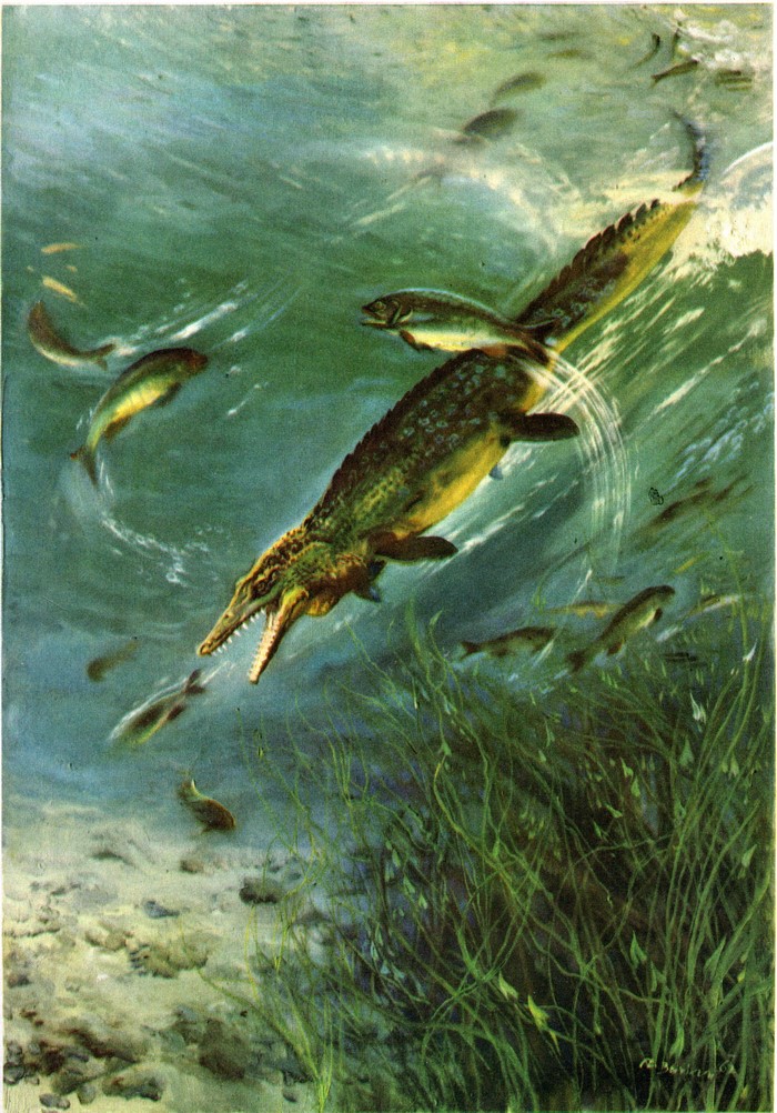 Mosasaurus hunting fish underwater, illustration by Zdenek Burian