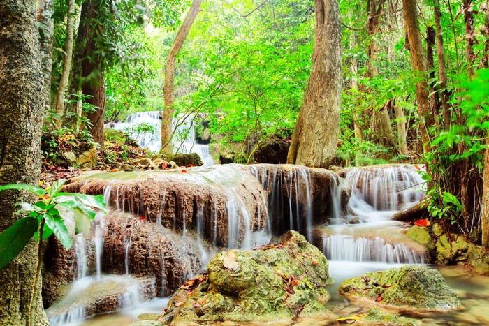 Waterfalls cascading over mossy rocks in a lush forest