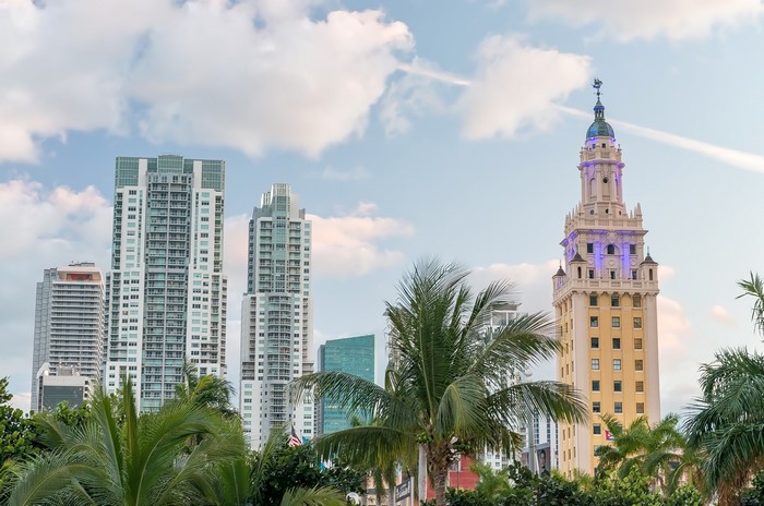 Miami Skyline with Freedom Tower and Palm Trees