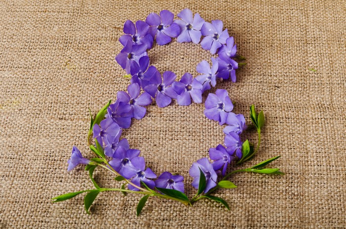 Number 8 made of Vinca flowers on burlap