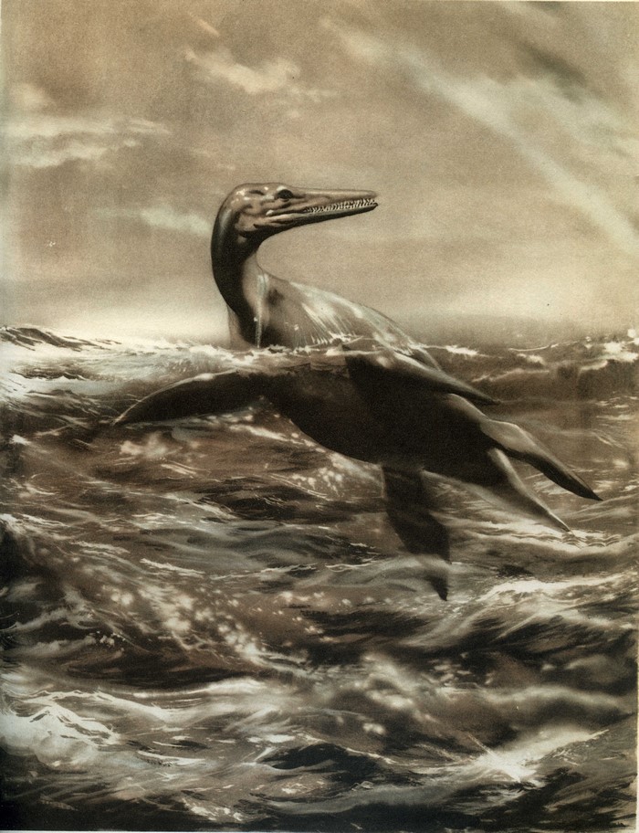 4K Peloneustes underwater ancient animal illustration