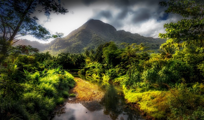 Tropical mountain landscape with a stream
