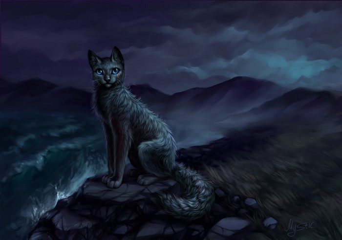 A black cat with blue eyes sits on a rocky cliff overlooking the ocean at night.