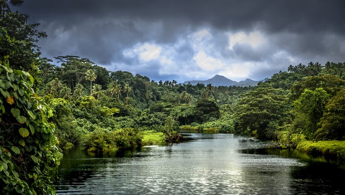 River flowing through a tropical rainforest under stormy clouds